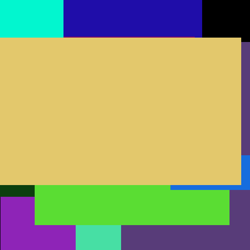 ACME Video Book ACME